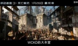 绝地迷宫在线观看,在线探险之旅，揭秘神秘迷宫的惊险挑战